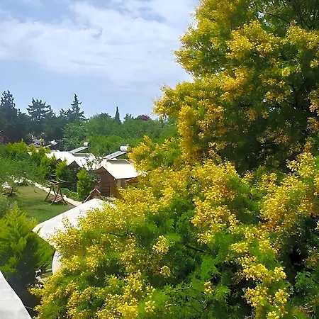 Pitosbungalows Bodrum